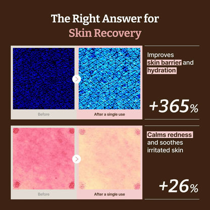 Elorysa PDRN Rejuvenating Cream — Advanced Salmon DNA Skin Repair & Firming Power 🐟