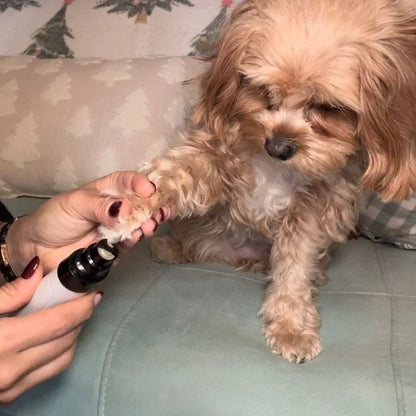 Elorysa Pet Nail Grinder | Whisper Quiet Dog Nail Grinder