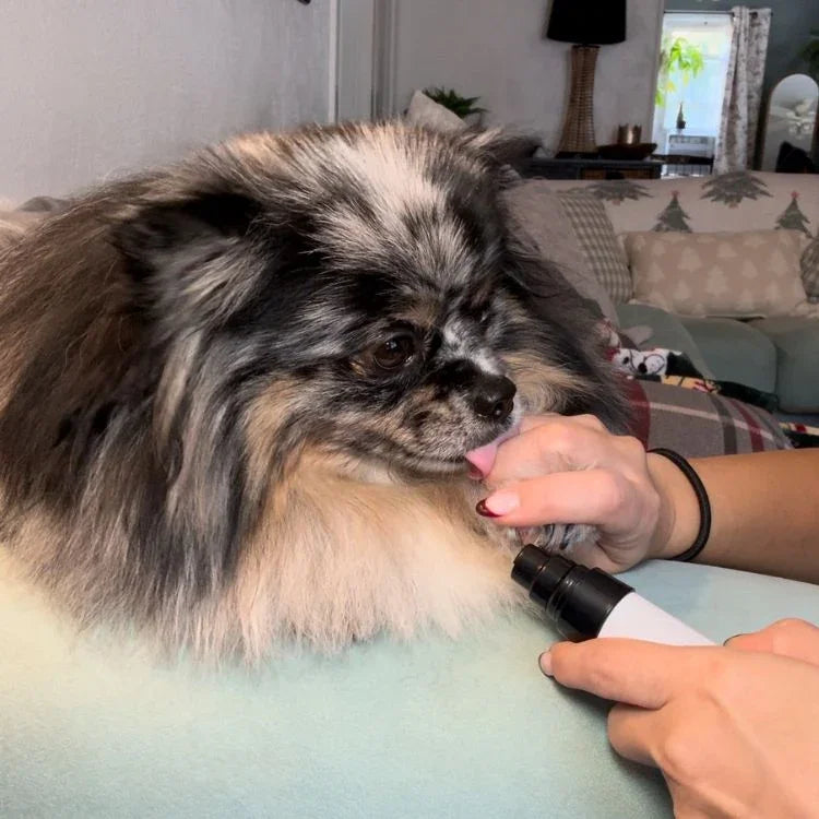 Elorysa Pet Nail Grinder | Whisper Quiet Dog Nail Grinder