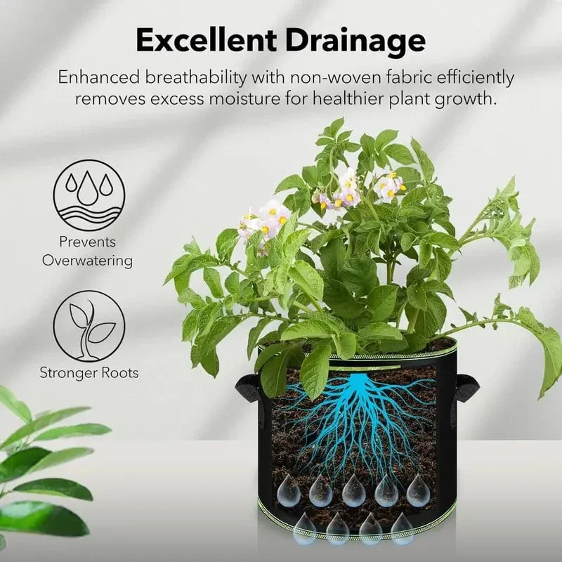 Excellent drainage grow bag prevents overwatering
