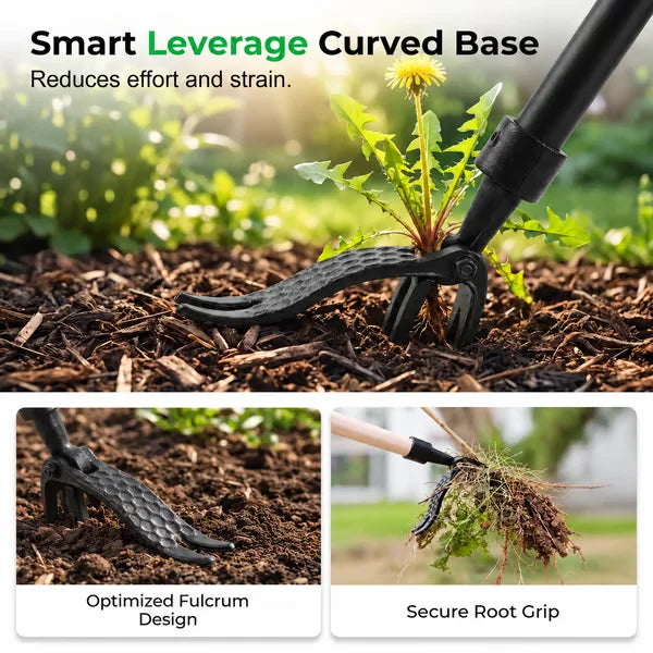 🏆Hot Sale Detachable Stand Up Weed Puller Head